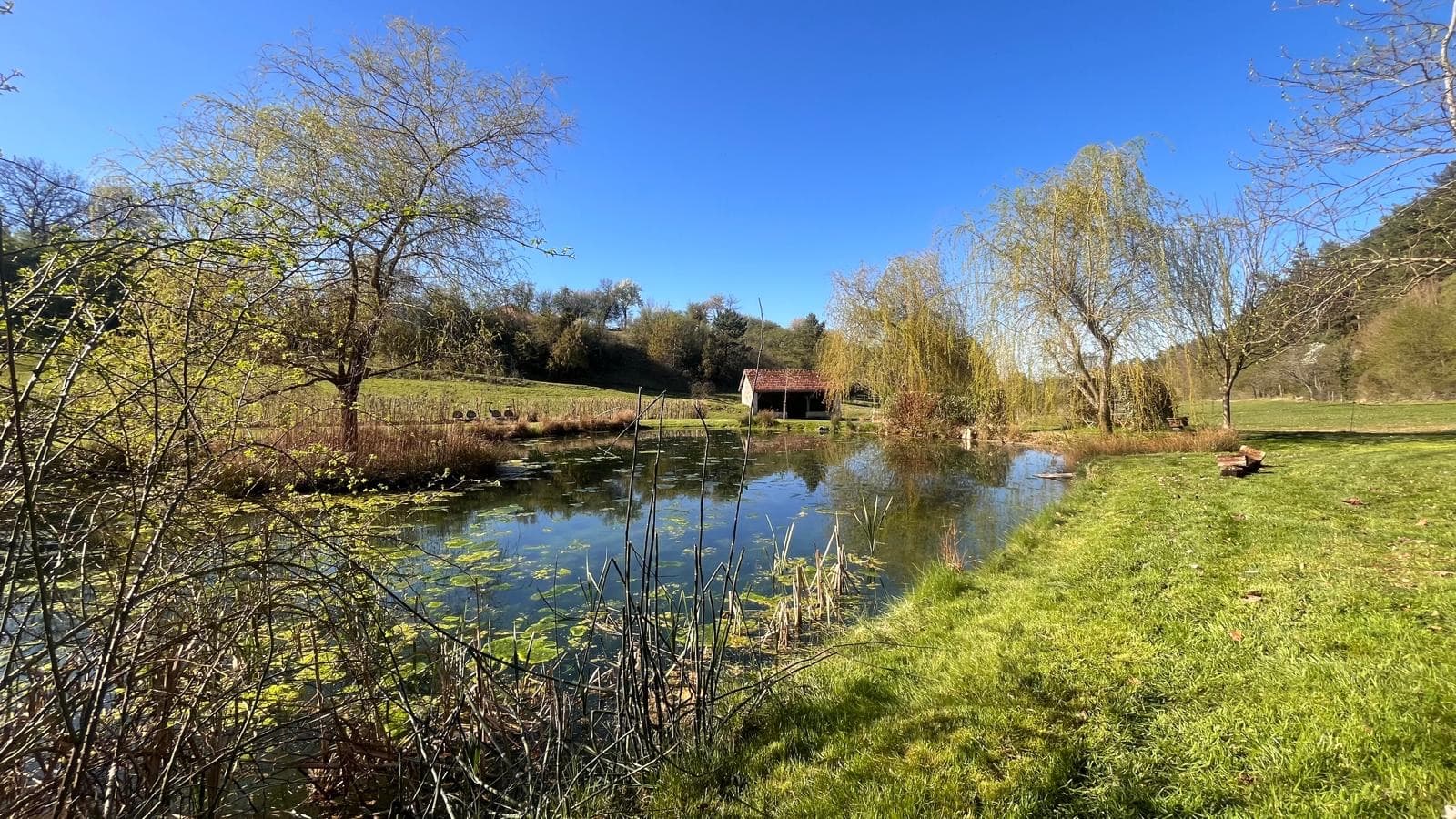 L'étang et sa cabane au bord de l'eau