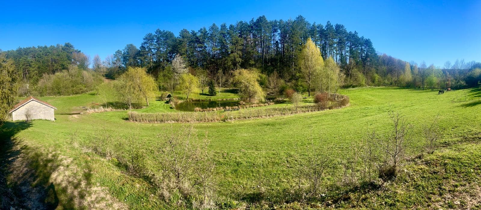 Panorama sur l'étang et la prairie